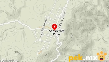 Agencia Municipal - San Vicente Piñas
