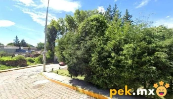 Antena Wifi Cfe - Centro
