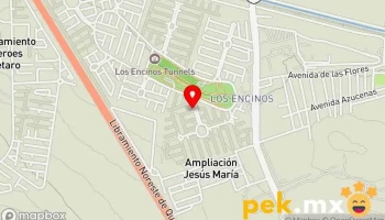 Aram Automation - 76243 México