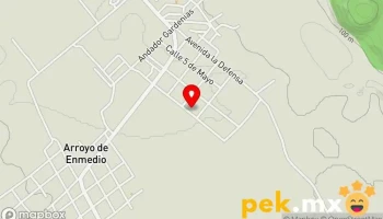 Arroyo de Enmedio - Vicente Camalote