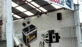 Auto Servicio Eléctrico Luis - Santa Cruz Cuauhtenco
