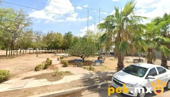 Cerrajeria Express - Culiacán Rosales