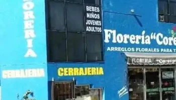 Cerrajería Mega - Santiago De Querétaro