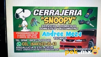 Cerrajeria Snoopy - Cdad. Obregón