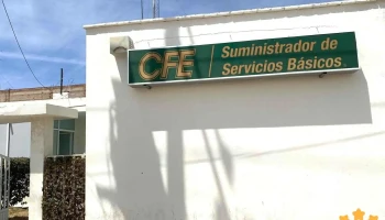 Cfe (Comisión Federal De Electricidad) - Carlos Real 501