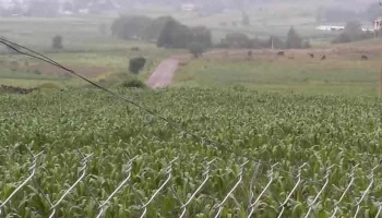 Cfe Comisión Federal de Electricidad Jilotepec. Centro de Atención a Clientes - Jilotepec De Molina Enríquez