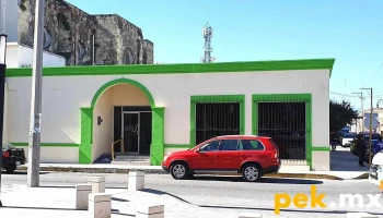 Cfe - Venustiano Carranza 300