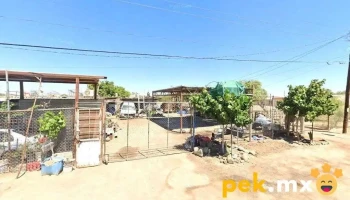 Chatarrera - Puebla