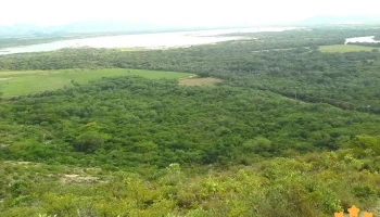 Chicapa de Castro - Chicapa De Castro