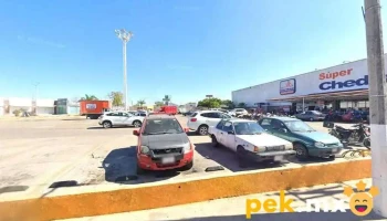 Comisión Federal De Electricidad Cfe - Las Gardenias