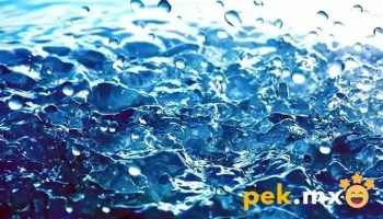 Comité de Agua Potable Cañada de Cisneros - Cañada De Cisneros