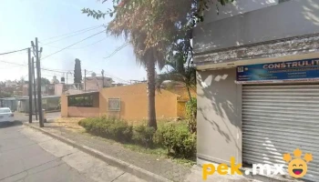 Construlita Campos - Uruapan
