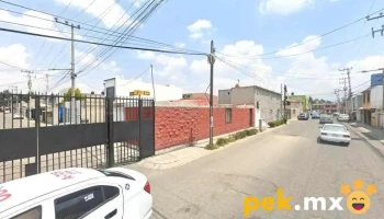 Desarrolladora E Instalaciones Electricas Sa De Cv - Sauces
