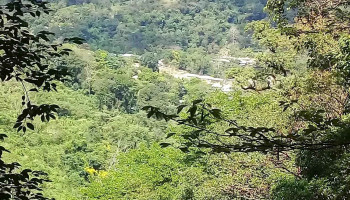Ejido Agua blanca Serranía. Municipio de Palenque, Chiapas - Chis