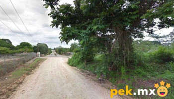 El Porvenir - El Porvenir