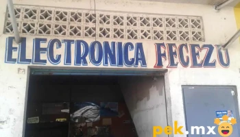 Electronica Fecezu - Ejido Del Centro