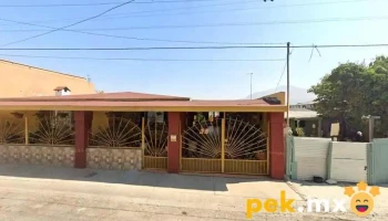 Energía Conducida - Punta Arenas 1279
