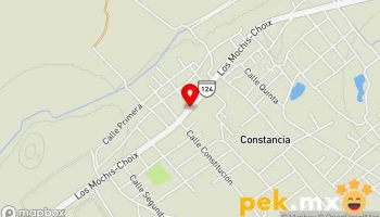 Ferretería y Refaccionaria La Espiga - Constancia
