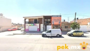 Iedsa Durango - Carlos Luna