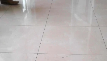 Indelek - Chihuahua