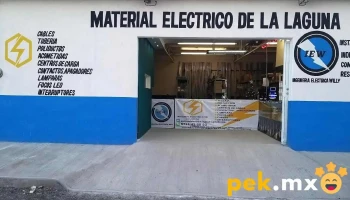 Material electrico de la laguna - Sur
