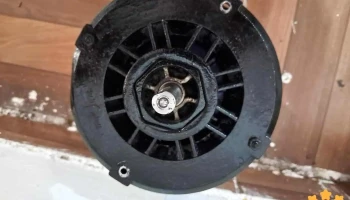 Motores Eléctricos Lamar - Chihuahua