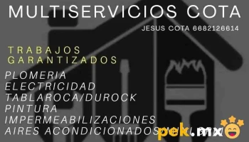 Multiservicios Cota - Los Mochis