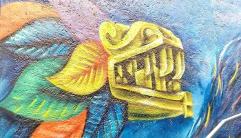 Odapas Chalco - Chalco De Díaz Covarrubias