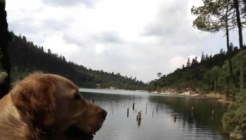 Parque Nacional 