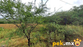 Planta Tratadora De Aguas Residuales - Santo Domingo Tonalá