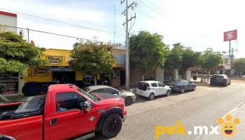 Plome-quin - Guasave