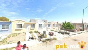 Prelag - 35015 Gómez Palacio