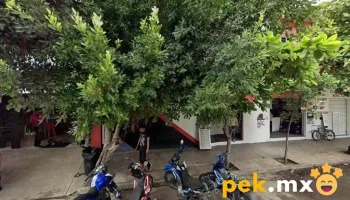 Pro One Refaccionarias - Centro