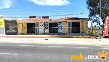 Proveedora Electromecánica De Chiapas - Chichima Guadalupe
