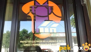 Proyectos Electricos De La Laguna Sa - Miguel De La Madrid Hurtado