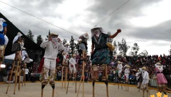Rotonda De Las Azucenas 