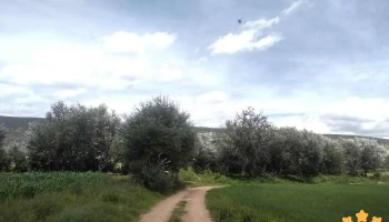 San Mateo Etlatongo - Oaxaca