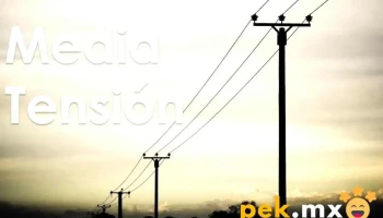 Selepros Servicios Eléctricos Profesionales - Entre 4 Y 5