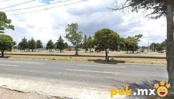 servicio eléctrico automotriz “el Bora” - Toluca De Lerdo