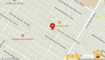 Servicio Eléctrico Automotriz Lupaino - Los Mochis