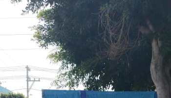 Servicio Electrico Automotriz M y M - Estado De México