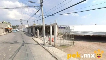 Servicio Eléctrico Automotriz - Santiago Tianguistenco De Galeana