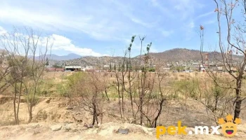 Servicio Electrico - San Jacinto Amilpas