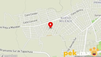 Servicio Eléctrico Tap - Milenio