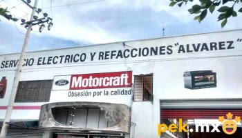 Servicio Eléctrico y Refacciones Alvarez - Texcoco De Mora