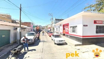 Servicio Electrónico Salinas - Salina Cruz