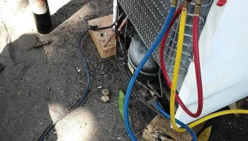 Servicio técnico profesional - Mexico