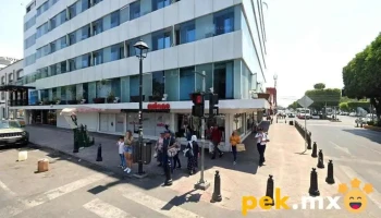 Servicios de plomería y electricidad Pérez - Ejido Modelo