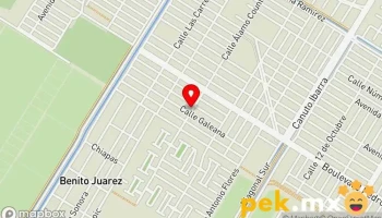 Servicios Lara - Los Mochis