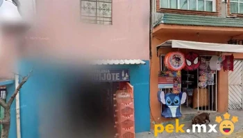 Soluciones Para Calidad Y Ahorro De Energía Eléctrica - Gustavo A. Madero, Ciudad De México